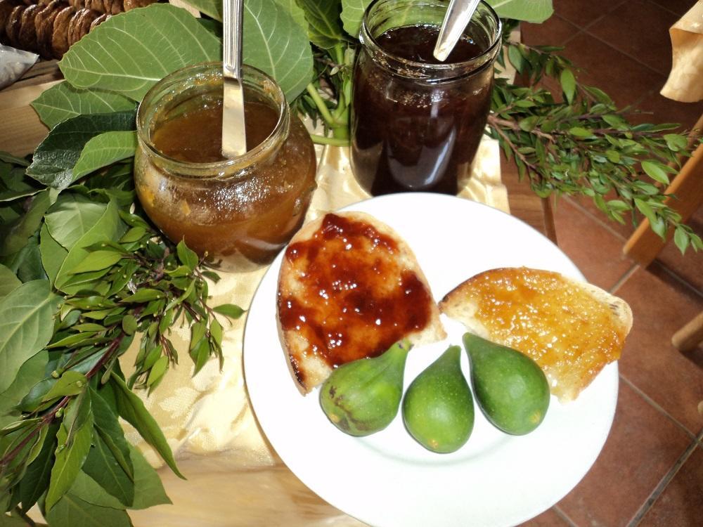 Agriturismo Aurella Ascea Ngoại thất bức ảnh
