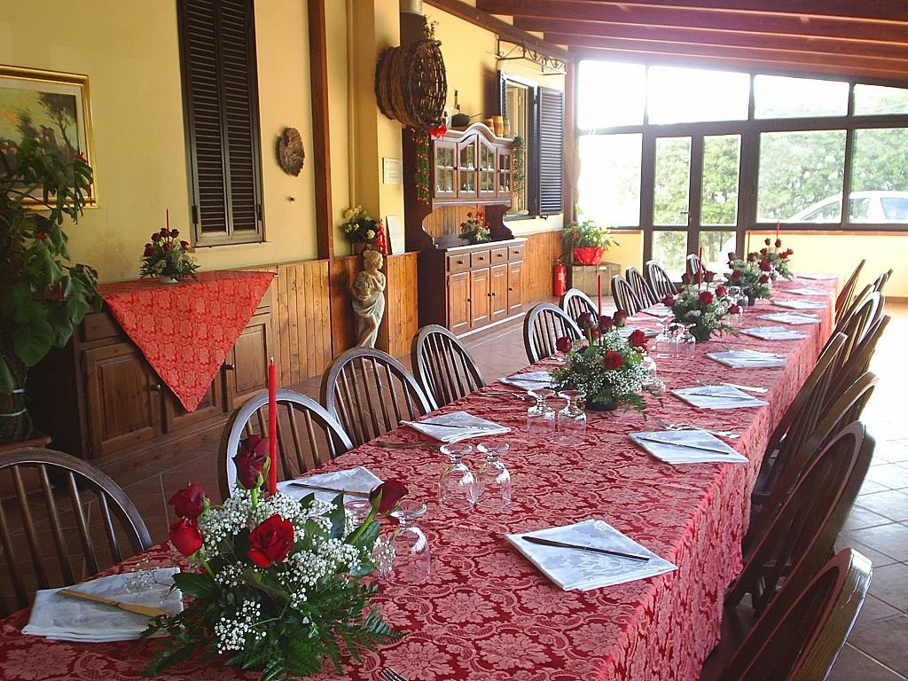 Agriturismo Aurella Ascea Ngoại thất bức ảnh